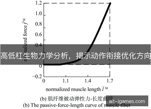 高低杠生物力学分析，揭示动作衔接优化方向
